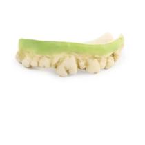 DENTES DE ZUMBI MASSA PARA FIXAÇÃO DE PRESAS 3,6 Gs.