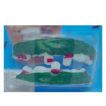 Dentes Falso Haloween Silicone Para Adulto Monstro