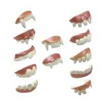 Dentes Falsos De Halloween, Dentes Frontais Para Decoração Engraçada Em Apresentações De Palco, Dentes Falsos De Halloween, Dentes Frontais Para Decoração Engraçada Em Apresentações De Palco,