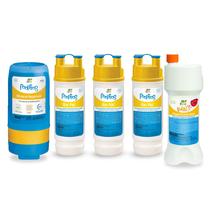 Depósito Mineral Pool Frog Modelo 5400 con 3 Bac Pacs y 1 BAM Depósito Mineral Pool Frog Modelo 5400 con 3 Bac Pacs y 1 BAM