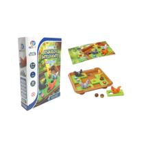 Desafio IQ Esquilos Inteligentes