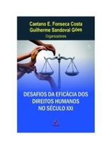 Desafios da eficácia dos direitos humanos no século xxi