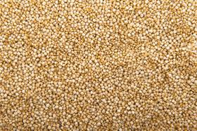 Descubra o Poder da QuinoaDescubra o Poder da Quinoa - aegle