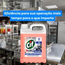 Desengordurante Concentrado Profissional 5 Litros CIF