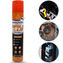 Desengripante Brilub Spray Antiferrugem Automotivo, Máquinas, Bicicletas 250ml - Tecbril