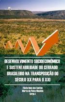 Desenvolvimento socioeconômico e sustentabilidade do cerrado brasileiro na transposição do século xx