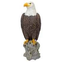 Design Toscano QM2810400 majestosa montanha águia ao ar livre jardim estátua, 21 polegadas, Full Color