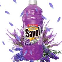 Desinfetante Bactericida Lavanda Sanol Lavanda 2L Desinfetante Bactericida Lavanda Sanol Lavanda 2L