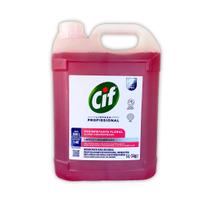 Desinfetante Concentrado Floral 5 Litros CIF