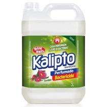 Desinfetante Eucalipto Perfumado e Bactericida 5L Kalipto