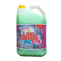 Desinfetante Pindorama 5 Litros - Limpa+