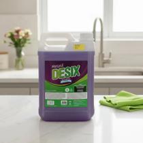 Desix Air Floral 5l Bactericida Higienizador Ar Condicionado