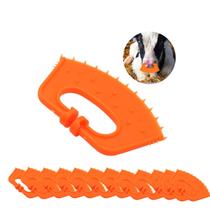 Desmamador Terneiro Desmame de Vaca Tabuleta 12 peças