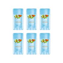 Desodorante Secret Stick Gel Orange Blossom 45g - Kit C/ 6un