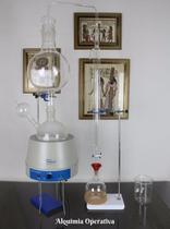 Destilador Arraste A Vapor Para Oleos Essenciais