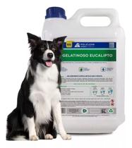 Detergente Gelatinoso Eucalipto Limpa Canil Tira Cheiro Urina Caes Gatos Limpa Quintal 5L Policlean Detergente Gelatinoso Eucalipto Limpa Canil Tira Cheiro Urina Caes Gatos Limpa Quintal 5L Policlean