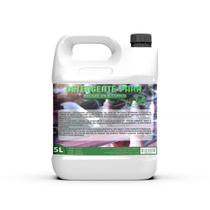 Detergente Para Limpeza De Bicos Injetores Cuba 5l Detergente Para Limpeza De Bicos Injetores Cuba 5l