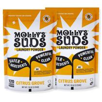 Detergente para roupa em pó Molly's Suds Original 240 Loads