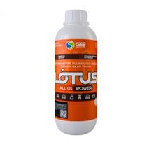 Detergente Universal All 01 G&s Lótus Para Estofados 1l