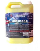 Detersid auto cremoso 5 lts