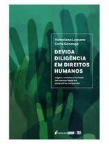 Devida deligência em direitos humanos - 2024 - LUMEN JURIS