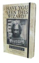 Diário que Harry Potter queria: Você já viu esse mago