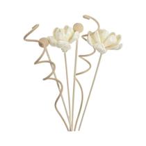 Difusor de Aromas com Varetas de Rattan - Recarga Floral (6/8/9 Unidades)