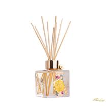 Difusor de Aromas Dani Fernandes