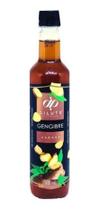Dilute 500ml - Xarope de Suco