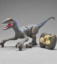 Dino Velociraptor Com Controle Remoto Zoop Toys