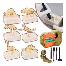 Dinossauro Dino Fóssil Escavação Escavar Ossos Arqueologia