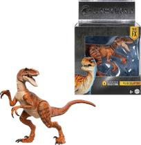 Dinossauro Grande Jurassic World Velociraptor Hammond Colletion Mattel Dinossauro Grande Jurassic World Velociraptor Hammond Colletion Mattel