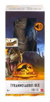 Dinossauro Jurassic World C/ Som 30 Cm Tyrannosaurus Rex - Mattel