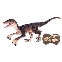 Dinossauro Rush Raptor