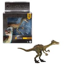 Dinossauro Troodon - Troodonte - Jurassic World 20 Cm - Hammond Collection - Mattel Dinossauro Troodon - Troodonte - Jurassic World 20 Cm - Hammond Collection - Mattel