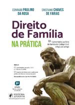 Direito de família na prática - comentários ao livro de família do código civil: artigo por artigo (