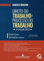 Direito do trabalho e processo do trabalho em volume único