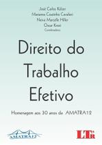 Direito do Trabalho Efetivo: Homenagem aos 30 Anos da Amatra 12 - LTR