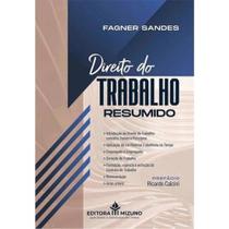 Direito do trabalho resumido - 2026 Direito do trabalho resumido - 2026