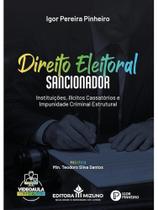 Direito eleitoral sancionador - 2025