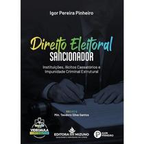 Direito Eleitoral Sancionador: Instituicoes, Ilicitos Cassatorios e Impunid Direito Eleitoral Sancionador: Instituicoes, Ilicitos Cassatorios e Impunid