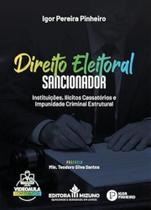 Direito Eleitoral Sancionador