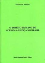 Direito humano de acesso a justiça no brasil, o - SERGIO ANTONIO FABRIS EDITOR - SAFE Direito humano de acesso a justiça no brasil, o - SERGIO ANTONIO FABRIS EDITOR - SAFE