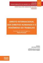 Direito Internacional dos Direitos Humanos e o Fenômeno do Trabalho Escritos em homenagem a Flávia Piovesan Coleção TMT Vol 2