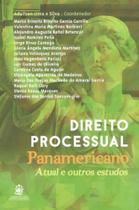 Direito processual panamericano atual e outros estudos
