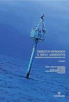Direitos humanos e meio ambiente - vol. 2 - ANNABLUME - POD **