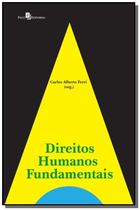 Direitos humanos fundamentais - PACO EDITORIAL