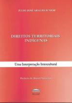 Direitos Territoriais Indigenas - PROCESSO