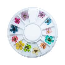 Disco Flores Secas para Decoração e Encapsulamento Alongamento de Unhas