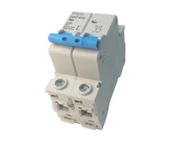 Disjuntor Bipolar 2 Polos Duplo Térmico e Magnético Tipo D